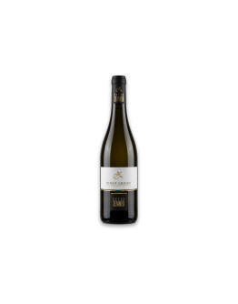 Peter Zemmer Alto Adige Pinot Grigio Doc 2025