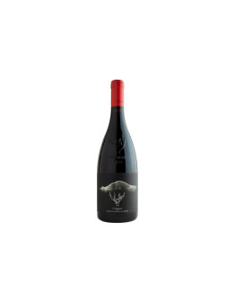I Vigneri Vino Rosso Made in Palmento & Anfora 2025