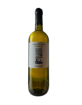 ANGIOLINO MAULE SASSAIA 2024