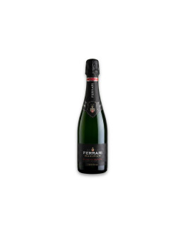 Ferrari TrentoDoc Maximum Blanc de Blancs Brut Sans Année 0,37 l