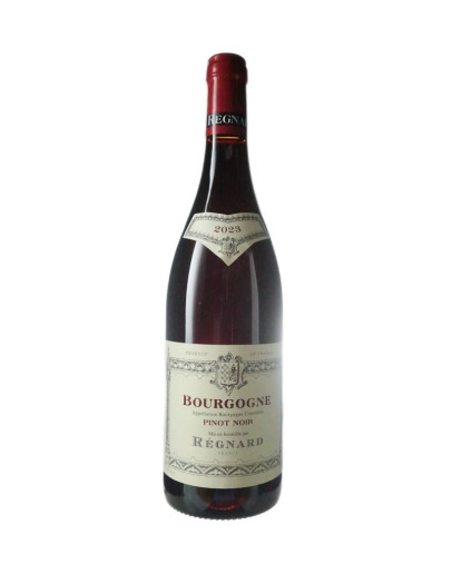 REGNARD BOURGOGNE PINOT NERO 2023