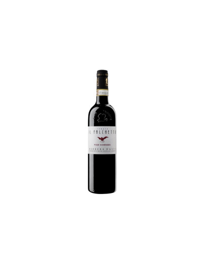 Tenuta Il Falchetto Barbera d'Asti Docg Pian Scorrone 2024-2025