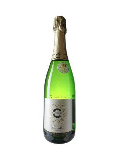 CAPDEPON BLANQUETTE DE LIMOUX BRUT CARACTERE