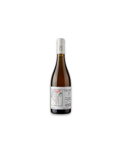 Marco Tinessa Campania Bianco Igt Falanghina Rubice Sans Année