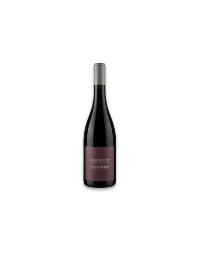 Tenuta Baron Asolo Montello Cabernet Sauvignon Doc Baronico 2022