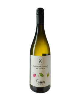 THOMAS NIEDERMAYR BIANCO SUMM 2023