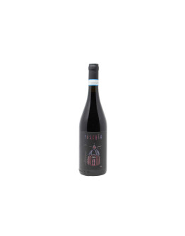 Gabriele Cordero Langhe Nebbiolo Doc Fuschìa 2024