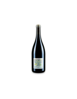 I Vigneri Vino Bianco Primavera 2024