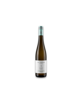 Dr. Fischer Mosel Qualitätswein Riesling Trocken 2025