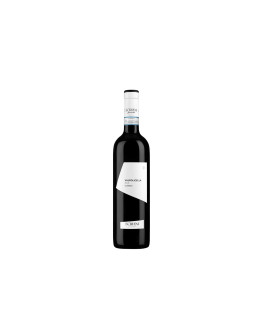 Scriani Valpolicella Classico Doc 2024