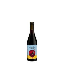 Rubinelli Vajol Verona Rosso Igt Rubinì 2025
