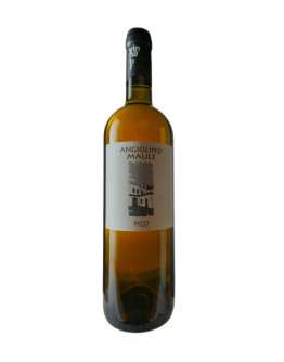 ANGIOLINO MAULE PICO 2022-2023