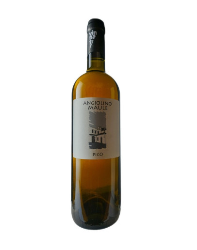 ANGIOLINO MAULE PICO 2022-2023