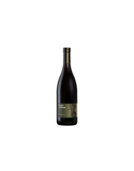 Weingut Abraham Vigneti delle Dolomiti Rosso Igt Blauburgunder Vom Muschelkalk 2022