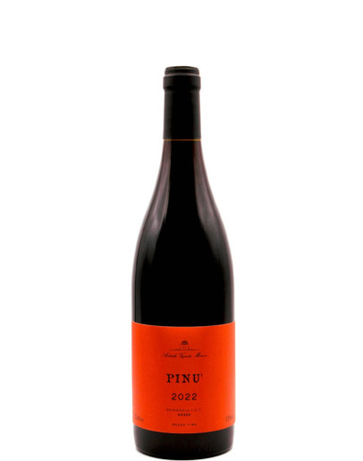 Pinu' Rosso 2024