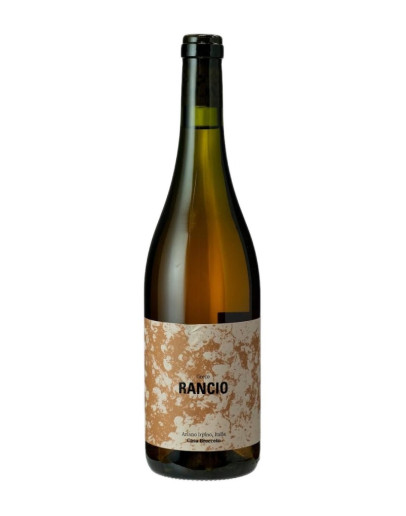 CASA BRECCETO RANCIO GRECO 2024