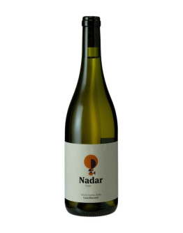 CASA BRECCETO  NADAR FIANO 2024