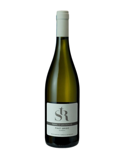 TERRE DI SAN ROCCO PINOT GRIGIO 2024