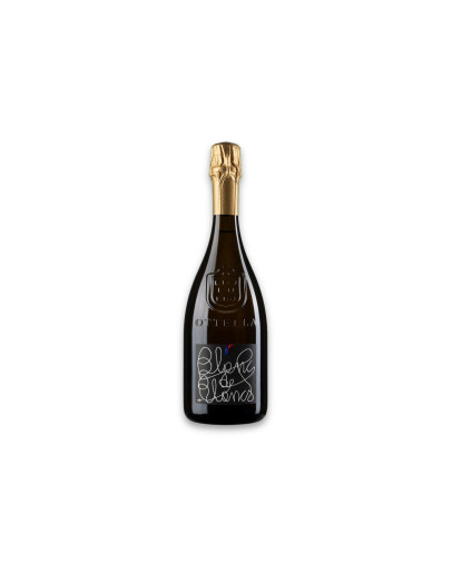 Ottella Vino Spumante di Qualità Metodo Classico Blanc de Blancs Brut Sans Année