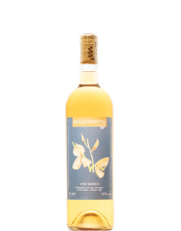 Giallo Ginestra