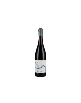 Terre di Venezia Veneto Rosso Igt Venusa Rosso 2018
