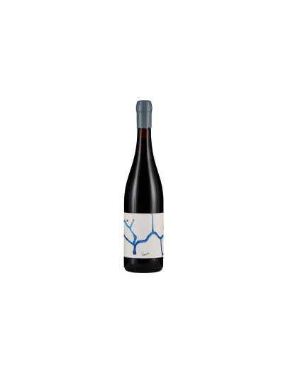 Terre di Venezia Veneto Rosso Igt Venusa Rosso 2018