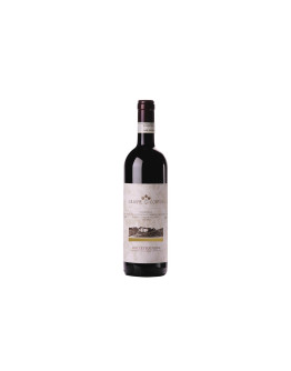 Giuseppe Cortese Langhe Dolcetto Doc 2024