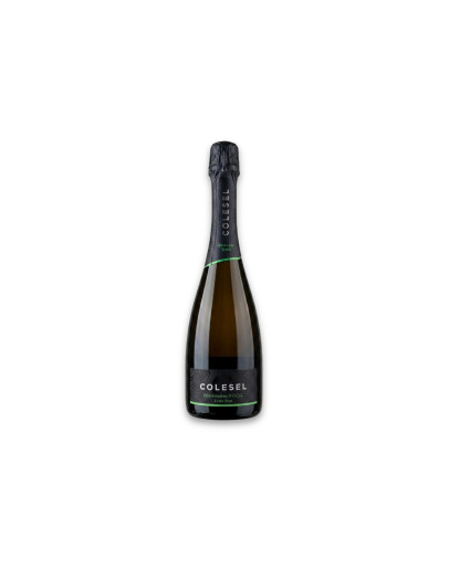 Colesel Valdobbiadene Docg Quota 430 Tridik Extra Brut 2025