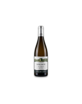Arnaldo Caprai Colli Martani Grechetto Doc Grecante 2024