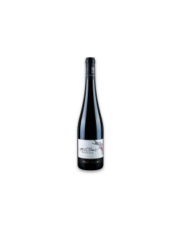 Zanotelli Trentino Doc Gewürztraminer Le Strope 2024