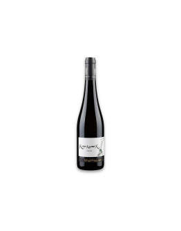 Zanotelli Trentino Doc Kerner Le Strope 2025