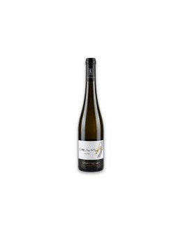 Zanotelli Trentino Doc Riesling Le Strope 2023