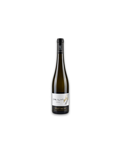 Zanotelli Trentino Doc Riesling Le Strope 2023
