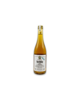 Fongoli Umbria Bianco Frizzante Igt Trebbiano Spoletino Laetitia Bullarum 2022
