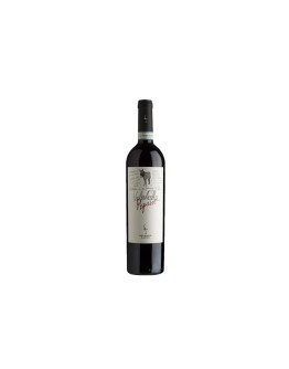 Secondo Marco Valpolicella Ripasso Classico Superiore Doc 2018 [Magnum]