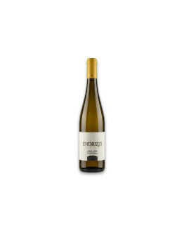 Endrizzi Trentino Doc Müller-Thurgau 2024