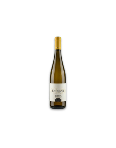 Endrizzi Trentino Doc Müller-Thurgau 2024