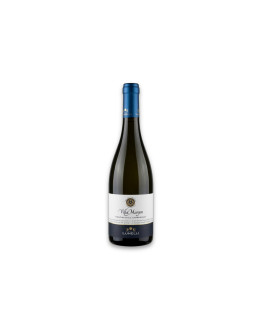 Ferrari Trento Tenuta Margon Trentino Doc Chardonnay Villa Margon 2021