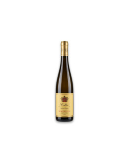Schiopetto Collio Pinot Grigio Doc 2024