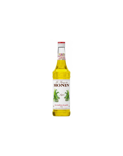 Le Sirop de Monin Sciroppo Tequilana Blue Weber Agave Sugar Mexico [Agave Blu Messicana]