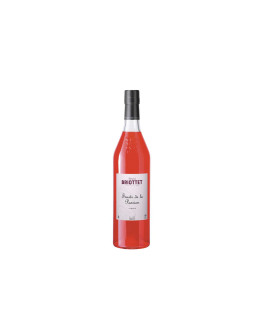 Liquore Briottet Frutto della Passione
