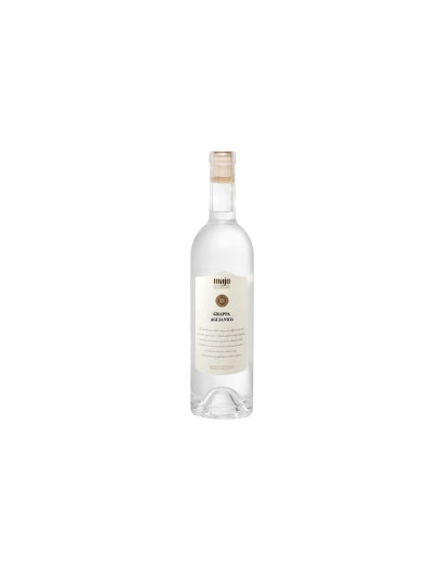 Grappa Majo Aglianico