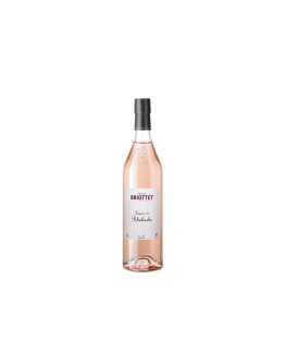 Liquore Briottet Rabarbaro