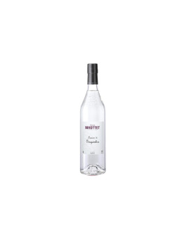 Liquore Briottet Zenzero