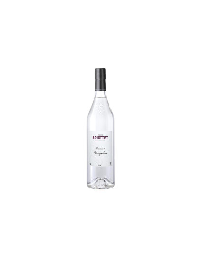 Liquore Briottet Zenzero