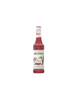 Le Sirop de Monin Sciroppo Spicy Arômes Naturels