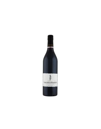 Giffard Cassis Noir de Bourgogne