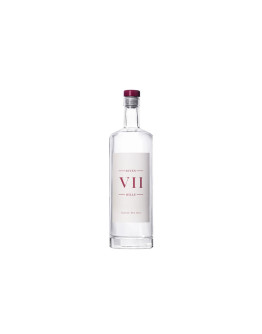 Gin VII Hills