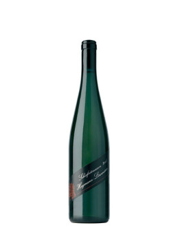 6 Schieferterrassen 2008