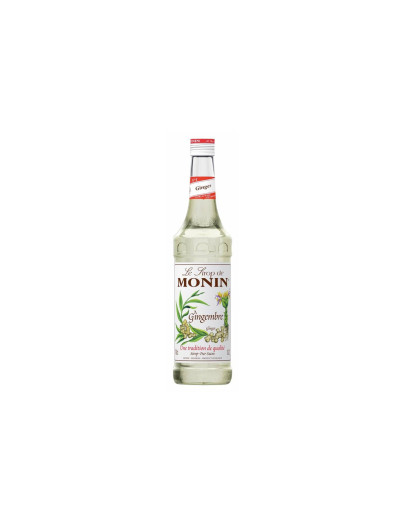 Le Sirop de Monin Sciroppo Ginger [Zenzero] Arômes Naturels